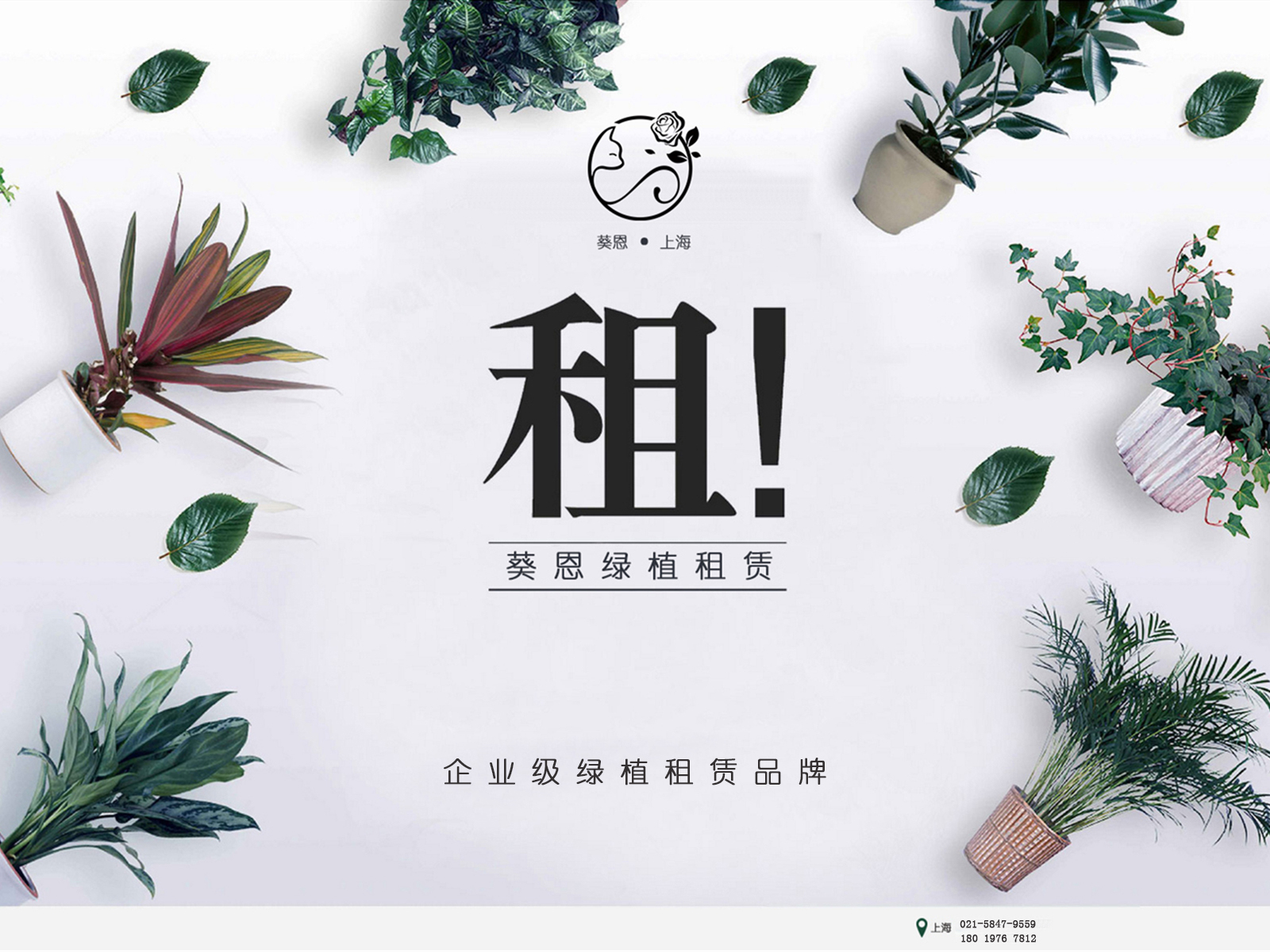 『葵恩』≡绿植租赁≡【300平起】